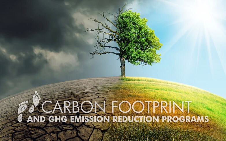 WhatsApp Image 2025-03-05 at 11.47.03_68d4dc3b